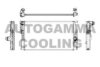 AUTOGAMMA 107162 Radiator, engine cooling